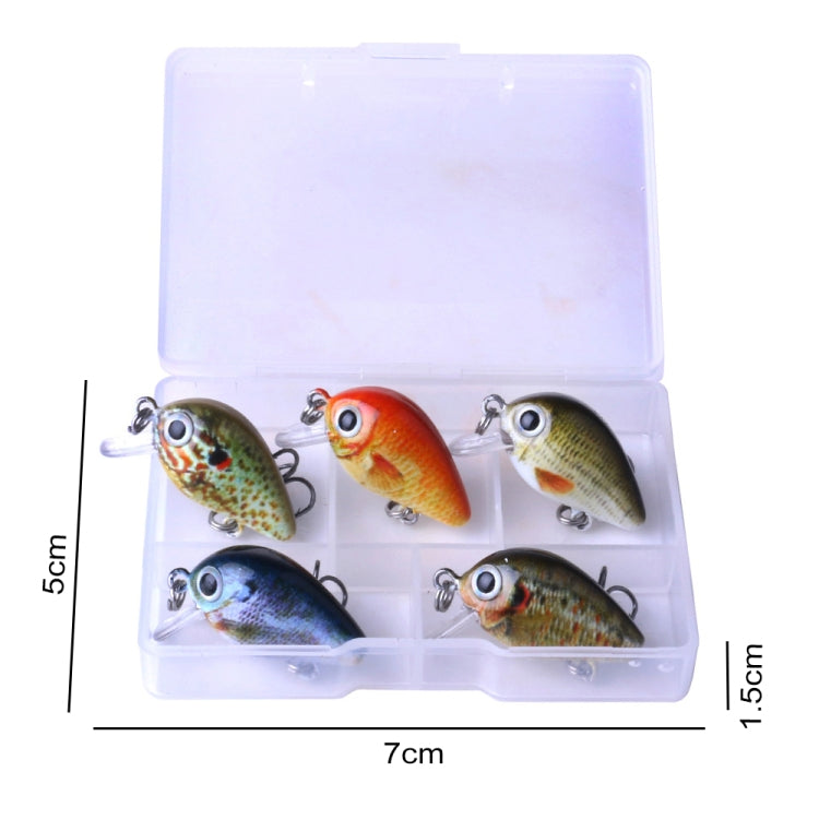Fishing Lure Hard Bait 5 Piece Rock Fishing Kit in Plastic Box – Fishman  Supplies